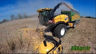 PNJ amp FEIYU NEW HOLLAND FR700 et JOSKIN Drakkar au Miscanthus en 2016 [upl. by Newfeld]