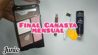 Final Canasta mensual Junio projectpan [upl. by Slinkman]