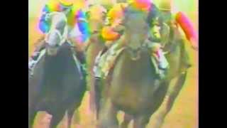 1988 Preakness Stakes  Risen Star [upl. by Efar]