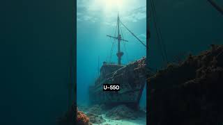 🤯 Dive into the Depths Uncover the Oceans Darkest Secrets 😱 [upl. by Yboc]