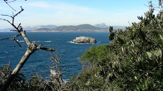 La presquîle de Giens  Sur le sentier du Littoral depuis le port de la Madrague [upl. by Everson135]