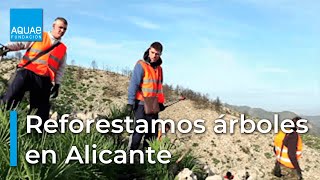 REFORESTACIÓN de ÁRBOLES en ALICANTE  Sembrando Oxígeno [upl. by Marron]