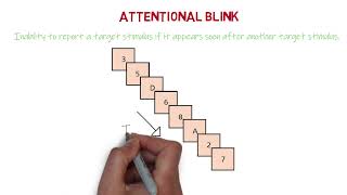 Attentional Blink  MinsEducation [upl. by Patsis]