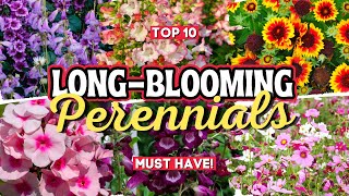 10 Long Blooming Perennial Flowers Add Vibrant Colors to Your Garden All Season Long 👌🌻💚 [upl. by Anujra]