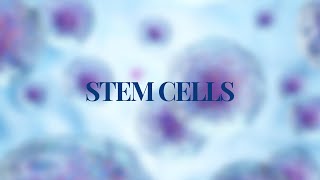 Stem Cells [upl. by Edyaw]