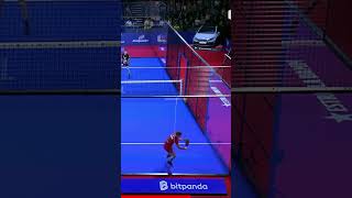 INCREDIBLE EXIT 😱😱😱  Padel Highlights bestofpadel [upl. by Anelas]