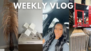 Vlog New Pampas Ikea Shopping New Home Decor [upl. by Higbee]