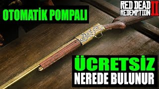 EN İYİ POMPALI TÜFEK LOKASYONU  Red Dead Redemption 2 Türkçe [upl. by Tung884]