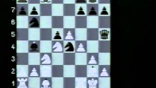 Schach der Grossmeister 1998 [upl. by Denman]