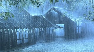 Fall Asleep in Just 3 Minutes with Torrential Rain amp Powerful Thunder on a Tin Roof in the Forest [upl. by Diba]