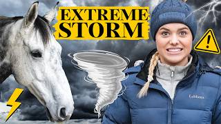 Storm Prep  keep the horses safe  This Esme Ad [upl. by Ackerman]