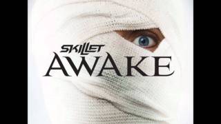 skillet awake and alive remix [upl. by Sybille]