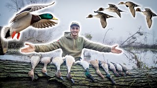 Très Belle Chasse au Canard dans les Marais Inondés  ChasserCuisinerManger [upl. by Pinelli]