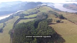 Fazenda Beira Lago em Concórdia  SC [upl. by Maggie457]