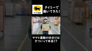 ヤマト運輸の仕分けバイトはきつい！？タイミーで働いてみた！ ヤマト運輸 仕分け タイミー [upl. by Beniamino]