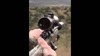 Unforgettable African Adventure Blesbok Hunting Expedition [upl. by Asilet]