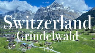 🇨🇭Switzerland② Grindelwald 42 スイスグリンデルワルト ヨーロッパ最高地点のユングフラウヨッホに行く🏔️🚇、スフィンクス展望台🌟 [upl. by Longfellow605]