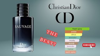 Dior Sauvage EDT Perfume Review  Still Worth in 2024 [upl. by Nylirek]