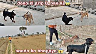 dono grip lga li 😱  saad ko bhagaya khet me se golu ne  golu mi masti first time 😀 [upl. by Melantha]