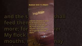 Ezekiel 34812 NKJV [upl. by Mloclam973]