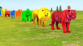 Long Slide Game With Elephant Gorilla Buffalo Hippopotamus Tiger  3d Animal Game  Funny 3d Animals [upl. by Ydisahc]