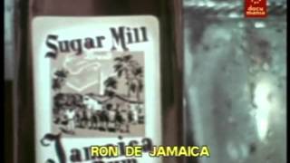 Historia del SKA amp REGGAE 112 Documental BBC [upl. by Ahsikyt]