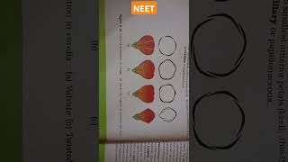 MORPHOLOGY OF FLOWERING PLANTS aestivation types corollaValvateTwisted ImbricateVexil neet [upl. by Rory]