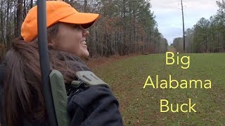 Big Alabama 7 Pointer [upl. by Nylirej]