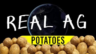 Real Ag Potatoes [upl. by Eniahpets13]