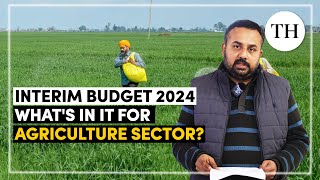 Interim Budget 2024  Whats in it for agriculture sector  The Hindu [upl. by Ubana222]