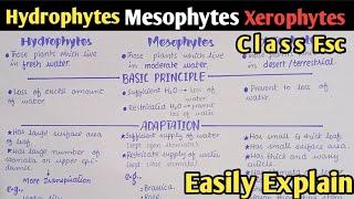 Osmoregulation In Plants Hydrophytes Mesophytes And Xerophytes  Class 12 Biology [upl. by Henrik]