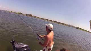 GoPro Catching a Cownose Stingray in NJ [upl. by Wallack]