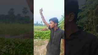 bhojpuri dance song sad bhojpurisong chhotusikarinewsong loveAbhinav5kAbhinavYadav hits [upl. by Funk]