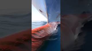 Dangerous North Sea clips😱🌊 interesting clips dangerous crazy stunt adventure shorts facts [upl. by Sharia38]