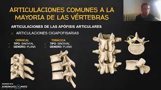 ARTICULACIONES EN COLUMNA VERTEBRAL [upl. by Ariak]