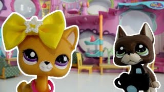 LPS Sophie Gets a REALITY SHOW [upl. by Galven]