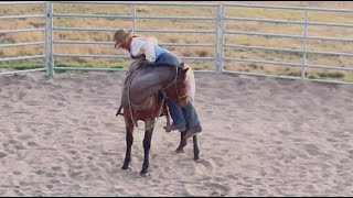 First Saddle And First Ride On Dandy  Day 7 [upl. by Buckels357]