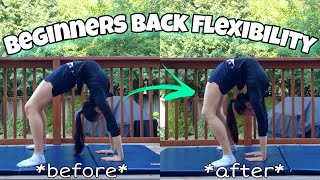 Get a FLEXIBLE BACK FAST  Beginners back flexibility stretches  Sophie Crane [upl. by Ynahpets818]