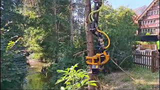 Safely and efficiently clear dead trees in Switzerland with the GMT035 TTC grapplesaw [upl. by Dwinnell944]