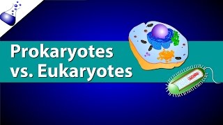 Prokaryotic Vs Eukaryotic Cells [upl. by Asaeret]