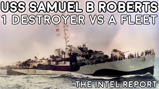 1 Destroyer Escort vs the Japanese Fleet  USS Samuel B Roberts [upl. by Potash]