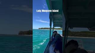 Glass bottom boat Great Barrier Reef traveltips cute [upl. by Formenti892]