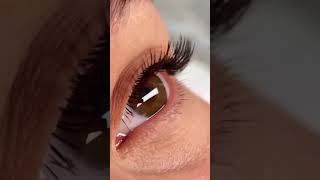 Classic Eyelash Extensions in Los Angeles  Belris  Lash Salon near Beverly Hills [upl. by Allak]