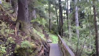 Mount Dewey Trail Wrangell Alaska 2013 [upl. by Scheck248]