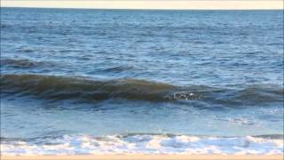 Reading the Beach  Understanding Waves amp Wave Action [upl. by Noraj]