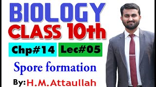 Spore formation  Chapter  14  Biology Class 10th  Lec 05 [upl. by Anitaf]