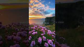 24kgoldn  Mood Lyrics ftiann dior  Lyrics video  lofi  Mood song  lyrics aesthetic [upl. by Erasaec]