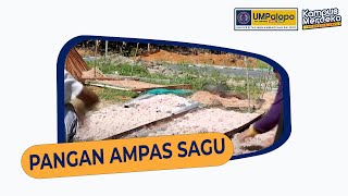 PAKAN TERNAK BERBAHAN DASAR AMPAS SAGU [upl. by Ater]