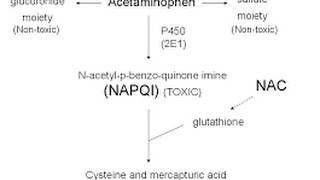 Acetaminophen Toxicity  Poisoning [upl. by Erving719]