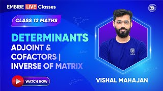 Determinants  Adjoint amp Cofactors  Inverse of Matrix  Class 12 Maths 2025  VISHAL MAHAJAN [upl. by Davy]